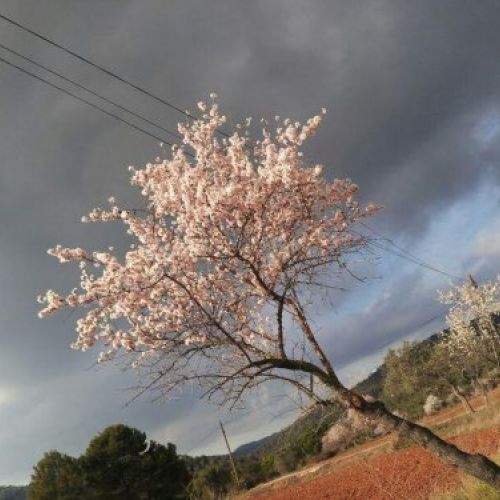 Masía El Abuelo